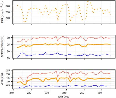 Leaf Shedding and Non-Stomatal Limitations of Photosynthesis Mitigate Hydraulic Conductance Losses in Scots Pine Saplings During Severe Drought Stress